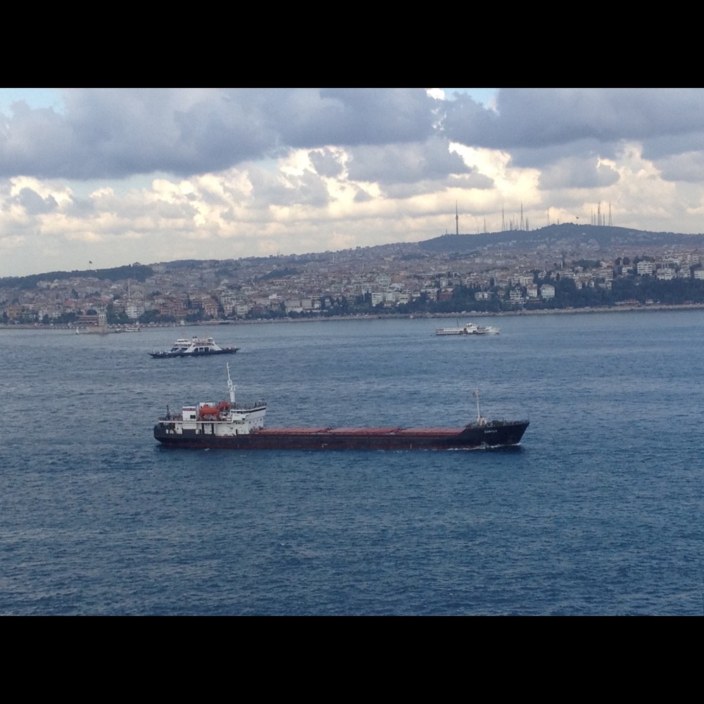 Meet your Posher, Elena